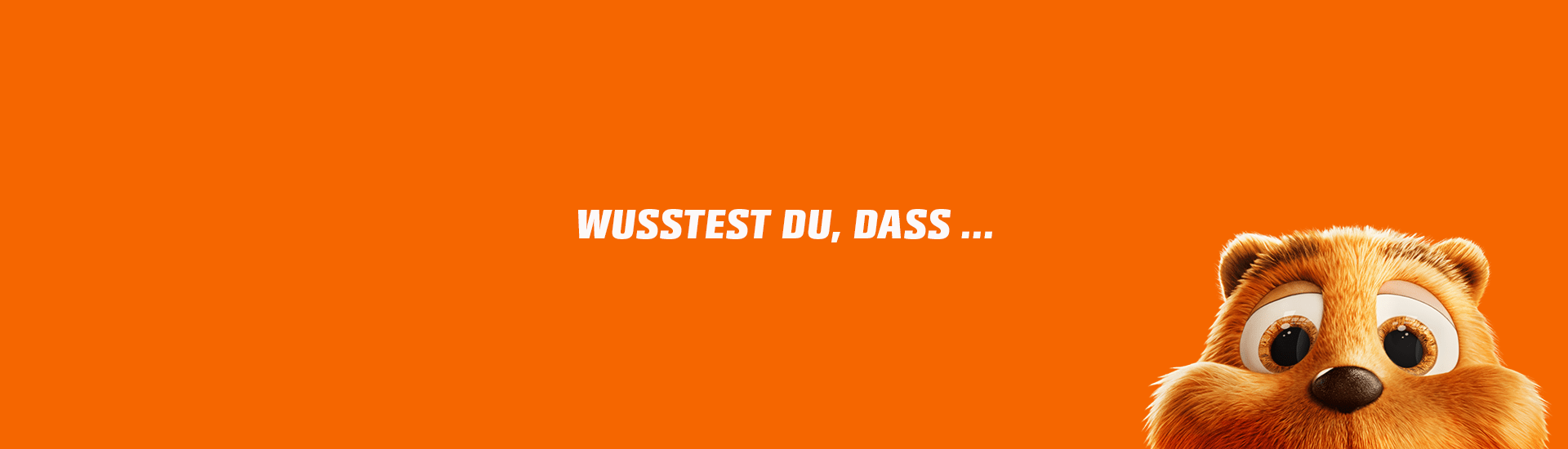 "Wusstest Du, dass ... "